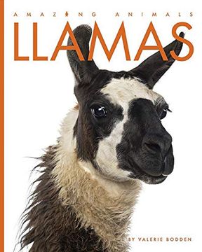 portada Llamas (Amazing Animals) (in English)