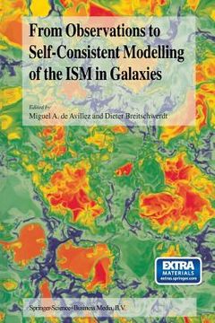 portada From Observations to Self-Consistent Modelling of the Ism in Galaxies: A Jenam 2002 Workshop Porto, Portugal 3-5 September 2002 (en Inglés)