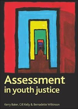 portada assessment in youth justice (en Inglés)