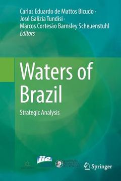 portada Waters of Brazil: Strategic Analysis (in English)