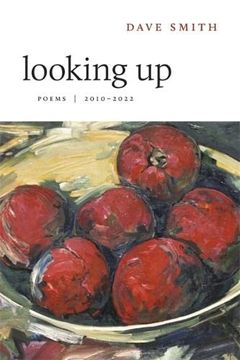 portada Looking up: Poems, 2010-2022 (in English)