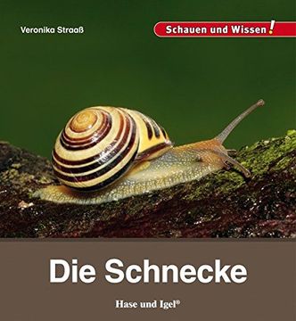 portada Die Schnecke: Schauen und Wissen! (in German)