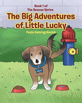 portada The big Adventures of Little Lucky: Book 1 (en Inglés)