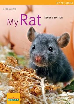 portada My Rat (en Inglés)