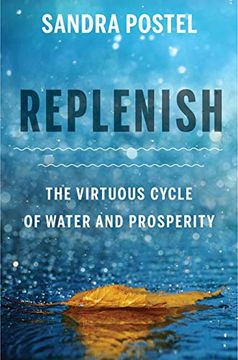 portada Replenish: The Virtuous Cycle of Water and Prosperity (en Inglés)