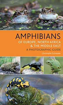 portada Amphibians of Europe, North Africa and the Middle East: A Photographic Guide (in English)