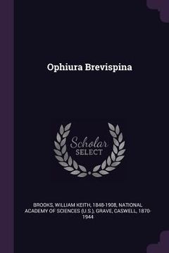 portada Ophiura Brevispina (en Inglés)