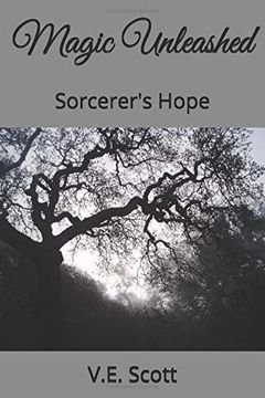 portada Magic Unleashed: Sorcerer's Hope (Town of new Hope Magic) (en Inglés)