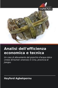 portada Analisi dell'efficienza economica e tecnica (en Italiano)