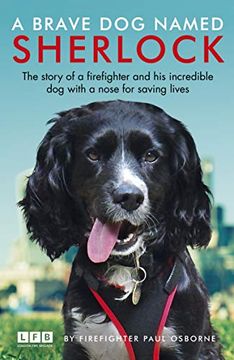 portada A Brave dog Named Sherlock (in English)