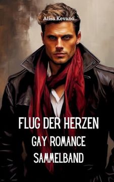 portada Flug der Herzen: Gay Romance Sammelband (in German)
