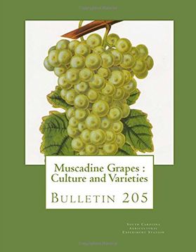 portada Muscadine Grapes: Culture and Varieties: Bulletin 205 (en Inglés)