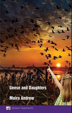 portada Geese and Daughters (en Inglés)