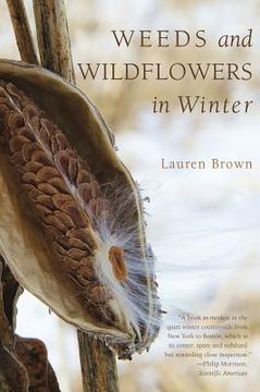 portada weeds and wildflowers in winter