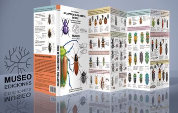 portada Coleópteros (Clase Insecta) de Chile (in Spanish)