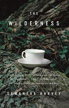 portada The Wilderness (en Inglés)