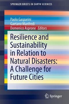 portada Resilience and Sustainability in Relation to Natural Disasters: A Challenge for Future Cities