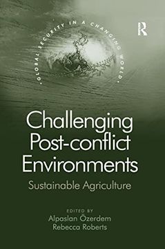 portada Challenging Post-Conflict Environments (Global Security in a Changing World)
