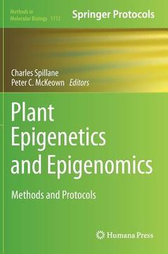 portada Plant Epigenetics and Epigenomics: Methods and Protocols (en Inglés)