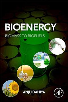 portada Bioenergy: Biomass to Biofuels (en Inglés)