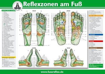 portada Reflexzonen der Füße (Tafel a2) (en Alemán)
