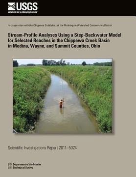 portada Stream-Porfile Analyses Using a Step-Backwater Model for Selected Reaches in the Chippewa Creek Basin in Medina, Wayne and Summit Counties, Ohio (en Inglés)