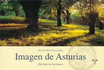 portada imagen de asturias / picture of asturias (in English)