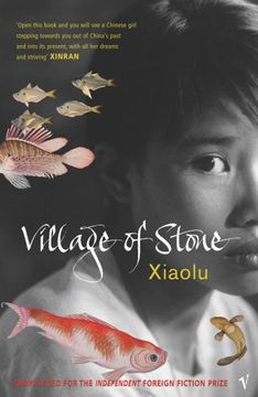 portada Village Of Stone