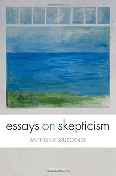 portada Essays on Skepticism (en Inglés)
