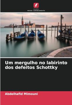 portada Um Mergulho no Labirinto dos Defeitos Schottky (in Portuguese)