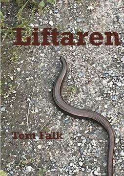 portada Liftaren (in Swedish)