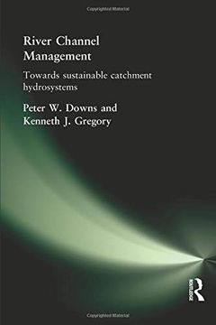 portada River Channel Management: Towards Sustainable Catchment Hydrosystems (Arnold Publication) (en Inglés)