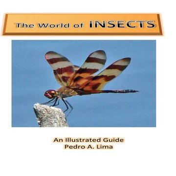 portada The World of Insects: an illustrated guide (en Inglés)