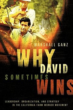 portada Why David Sometimes Wins: Leadership, Organization, and Strategy in the California Farm Worker Movement (en Inglés)