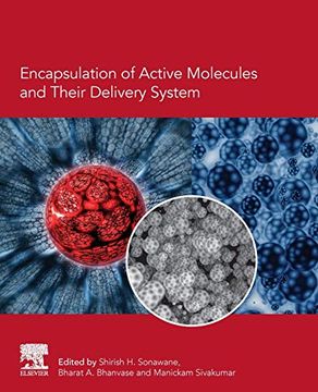 portada Encapsulation of Active Molecules and Their Delivery System (en Inglés)