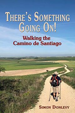 portada There'S Something Going On! Walking the Camino de Santiago (en Inglés)