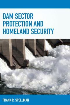 portada Dam Sector Protection and Homeland Security (in English)