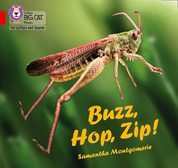 portada Buzz, Hop, Zip! Band 02a (en Inglés)