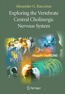 portada Exploring the Vertebrate Central Cholinergic Nervous System (en Inglés)