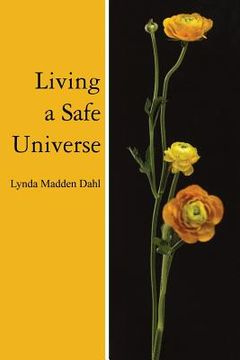 portada living a safe universe: a book for seth readers (en Inglés)