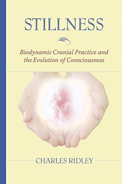 portada Stillness: Biodynamic Cranial Practice and the Evolution of Consciousness (en Inglés)