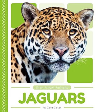 portada Jaguars (Rain Forest Animals) (en Inglés)
