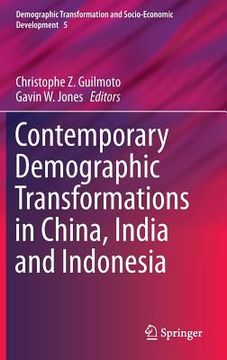 portada Contemporary Demographic Transformations in China, India and Indonesia (in English)