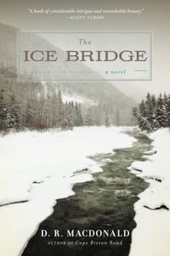 portada The ice Bridge: A Novel (in English)