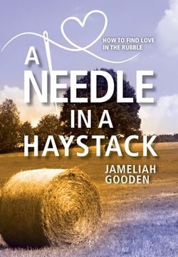 portada A Needle in a Haystack: How to Find Love in the Rubble (en Inglés)