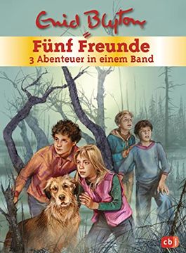 portada Fünf Freunde - 3 Abenteuer in Einem Band: Sammelband (in German)