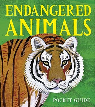 portada Endangered Animals: A 3d Pocket Guide (Panorama Pops) (in English)