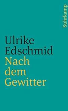 portada Nach dem Gewitter (Suhrkamp Taschenbuch) (en Alemán)