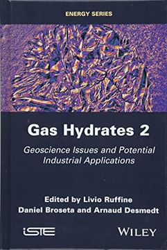 portada Gas Hydrates 2: Geoscience Issues and Potential Industrial Applications (en Inglés)
