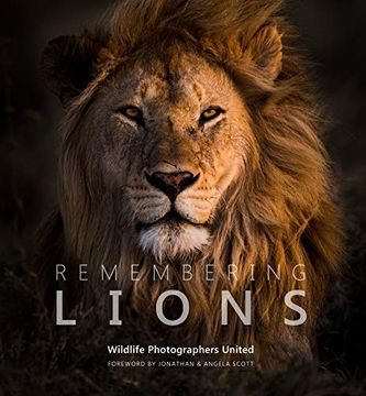 portada Remembering Lions (Remembering Wildlife) (en Inglés)